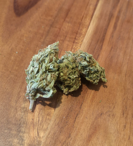 ZOMBIE KUSH (outdoor 100% organique)