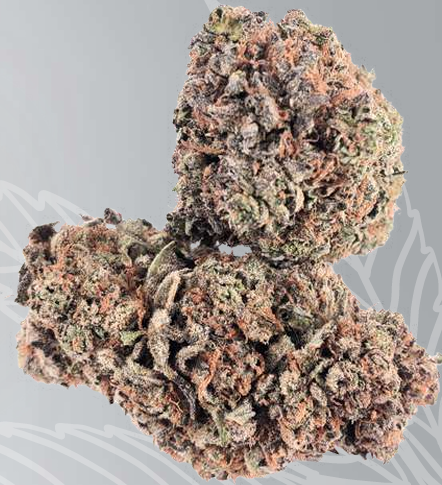FRUIT GORILLA