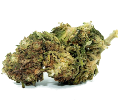 ALLIUM OG
